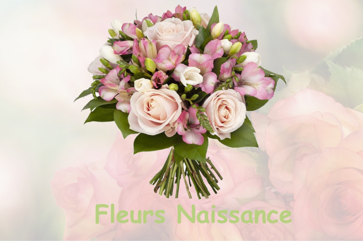 fleurs naissance LA-FERRIERE-BOCHARD